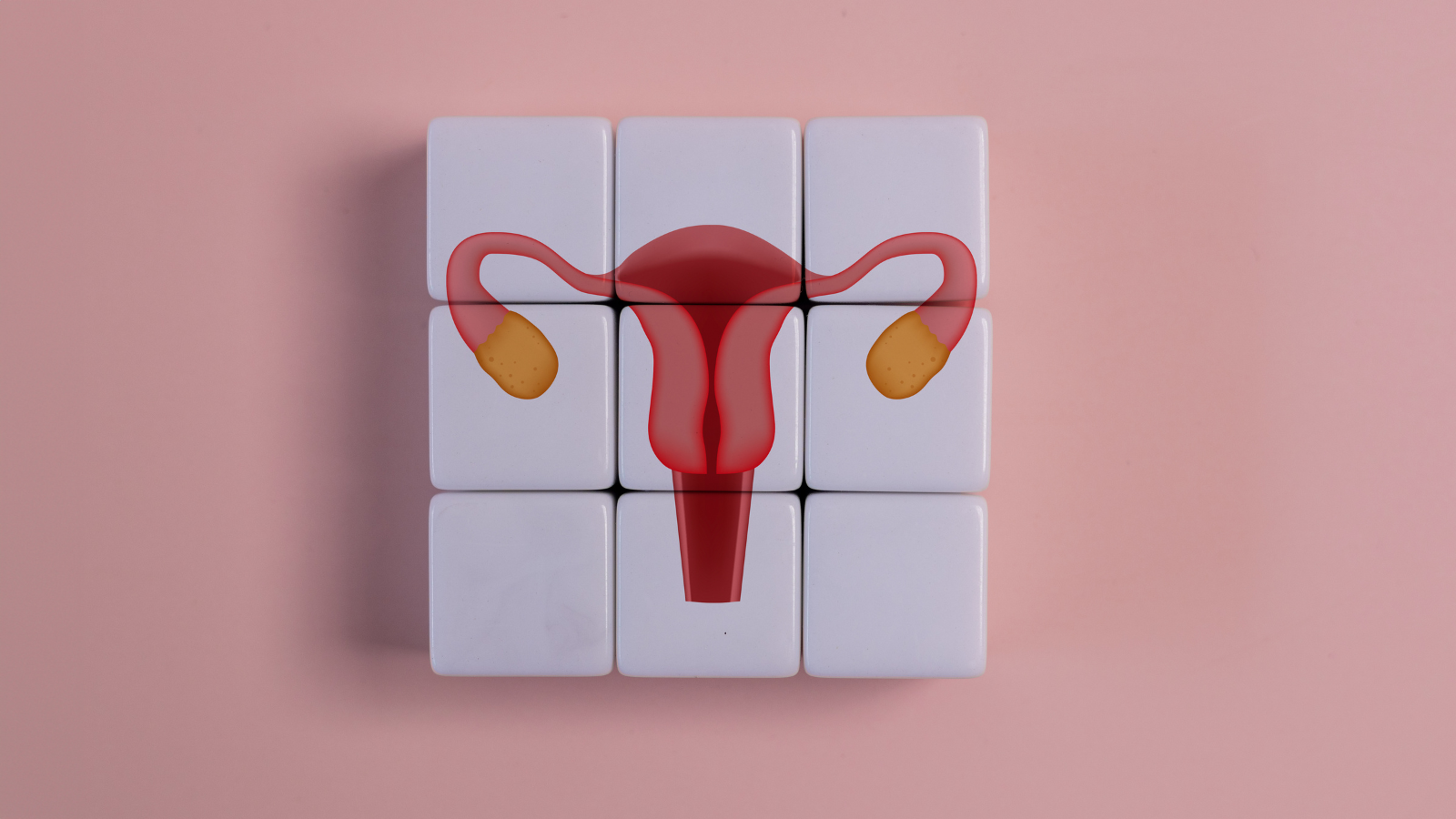 SOPK, stress et cycles : quand la science aide les femmes à retrouver l’harmonie